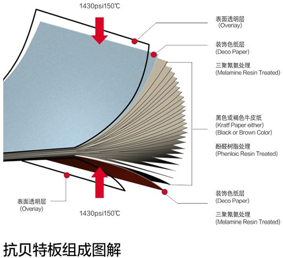 花火视频下载APP官方免费抗倍特板组成图解
