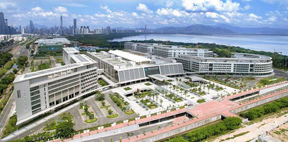 香港大学深圳医院 香港大学深圳医院